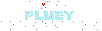 The Free Pluey Foundation banner